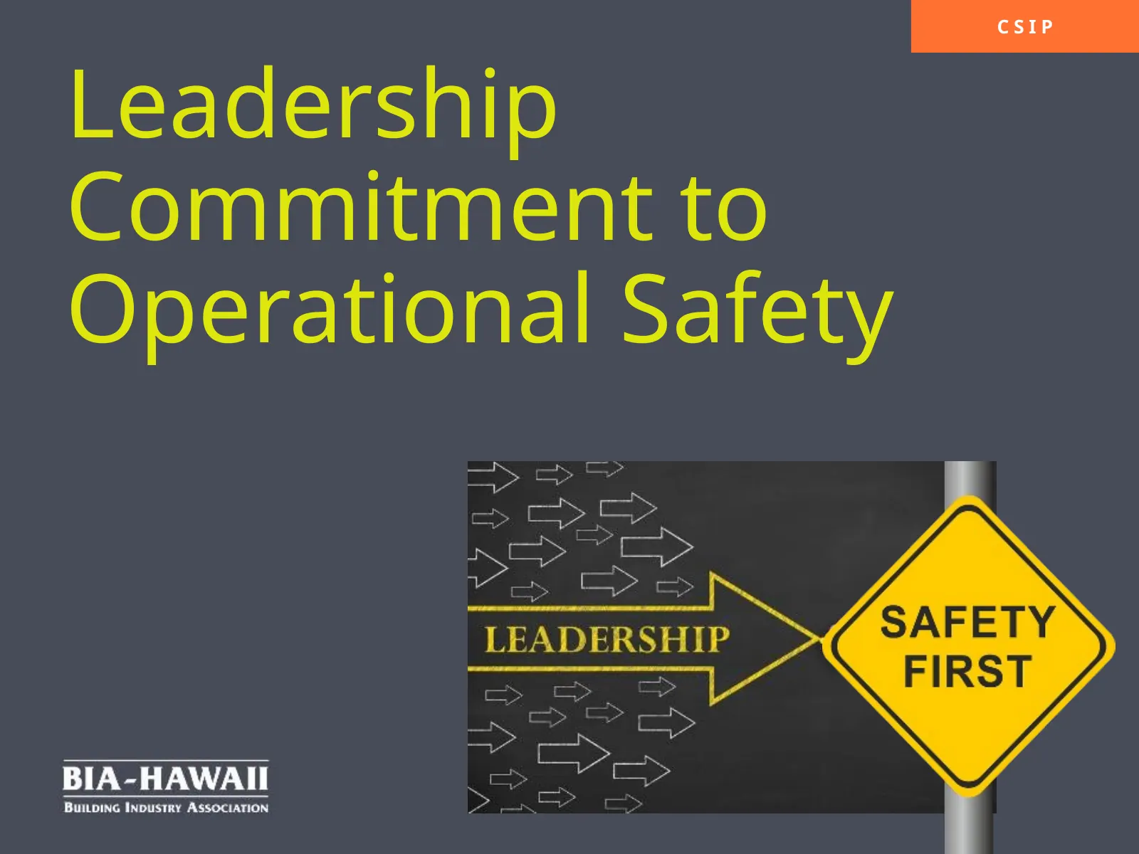 Leadership Commitment to Operational Safety, slide 1: Leadership Commitment to Operational Safety
