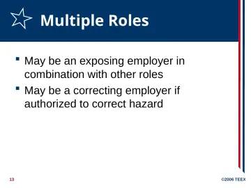 Slide 13: Multiple Roles