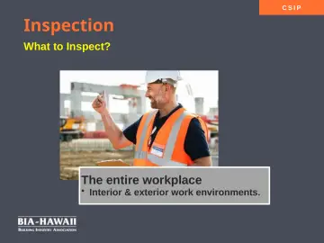 Slide 17: Inspection