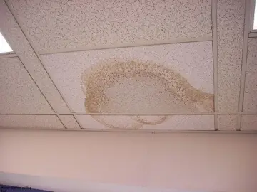 Slide 31: Water stained ceiling tile
