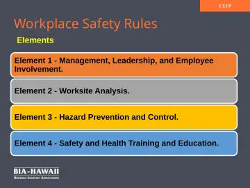 Slide 9: Workplace Safety Rules