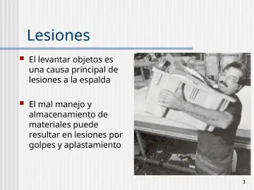 Slide 3: Lesiones