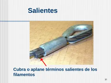 Slide 31: Salientes