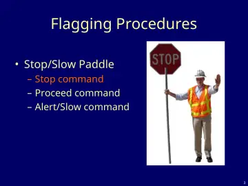 Slide 3: Flagging Procedures