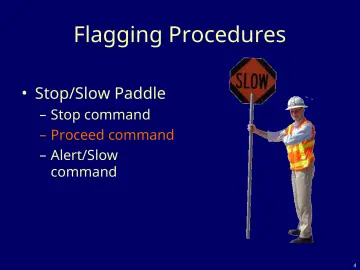 Slide 4: Flagging Procedures