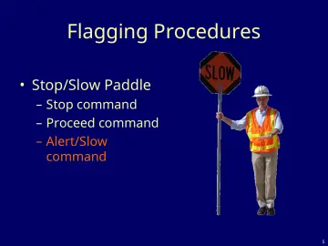 Slide 5: Flagging Procedures