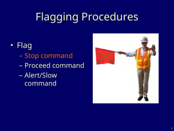 Slide 7: Flagging Procedures