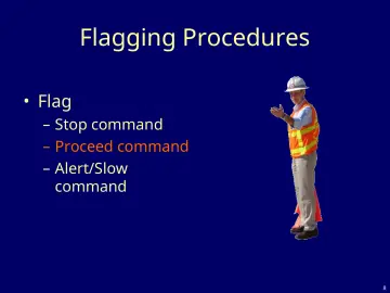 Slide 8: Flagging Procedures