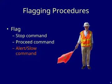 Slide 9: Flagging Procedures