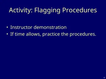 Slide 10: Activity: Flagging Procedures