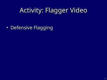 Slide 11: Activity: Flagger Video