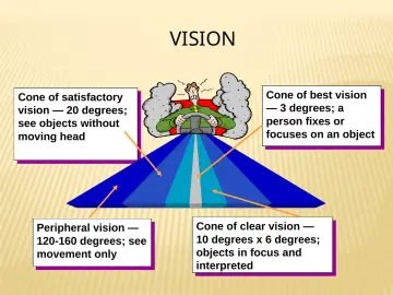 Slide 74: VISION