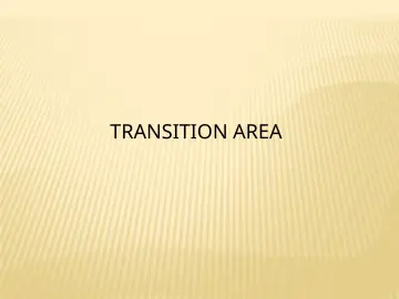 Slide 147: TRANSITION AREA