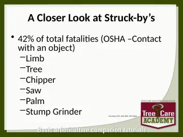Slide 9: A Closer Look at Struck-by’s
