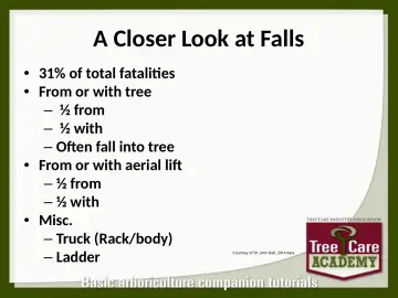 Slide 10: A Closer Look at Falls
