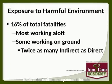 Slide 12: Exposure to Harmful Environment