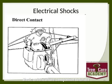 Slide 14: Electrical Shocks