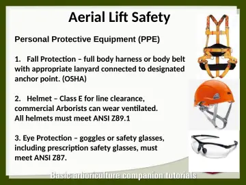 Slide 24: Aerial Lift Safety