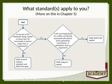 Slide 48: What standard(s) apply to you?