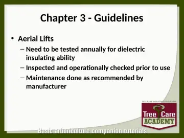 Slide 60: Chapter 3 - Guidelines