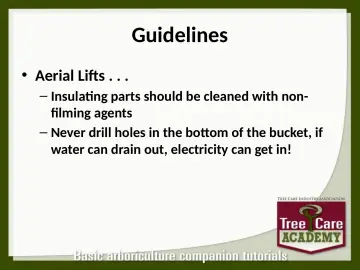 Slide 61: Guidelines