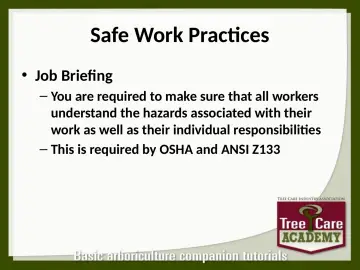 Slide 62: Safe Work Practices