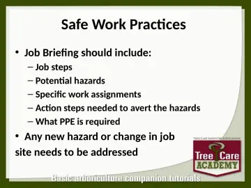 Slide 63: Safe Work Practices