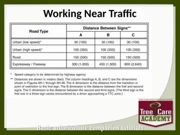Slide 65: Working Near Traffic