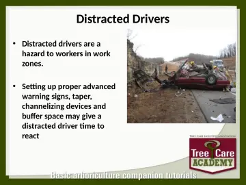 Slide 67: Distracted Drivers