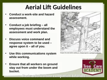 Slide 87: Aerial Lift Guidelines