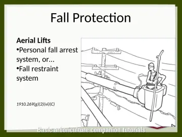 Slide 93: Fall Protection