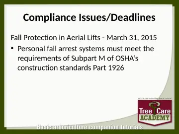 Slide 96: Compliance Issues/Deadlines
