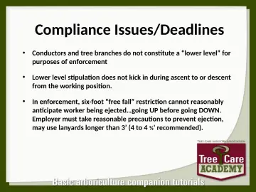 Slide 98: Compliance Issues/Deadlines