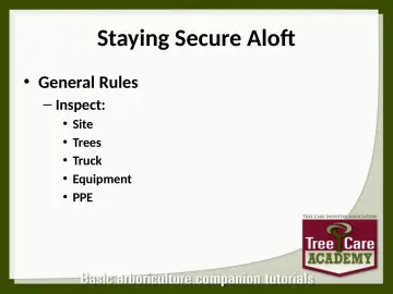 Slide 99: Staying Secure Aloft