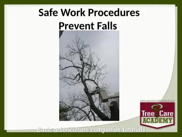 Slide 100: Safe Work Procedures Prevent Falls