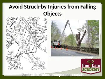 Slide 102: Avoid Struck-by Injuries from Falling