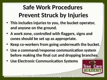 Slide 103: Safe Work Procedures Prevent Struck by Injuries