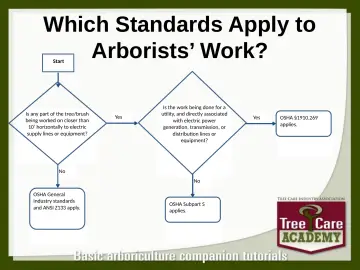Slide 112: Which Standards Apply to Arborists’ Work?