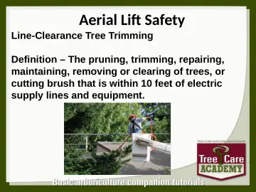 Slide 113: Aerial Lift Safety