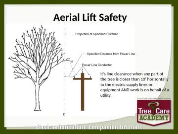 Slide 114: Aerial Lift Safety