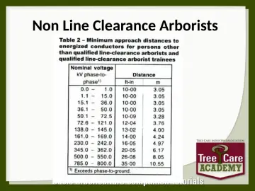 Slide 116: Non Line Clearance Arborists