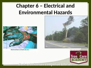 Slide 121: Chapter 6 – Electrical and Environmental Hazards