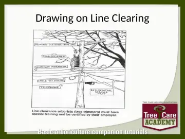 Slide 122: Drawing on Line Clearing