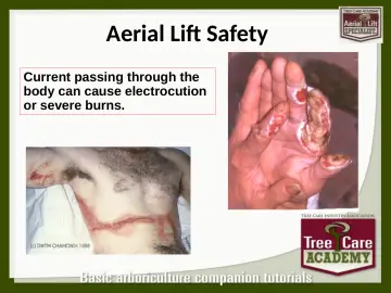 Slide 124: Aerial Lift Safety