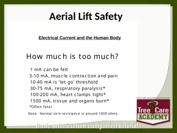 Slide 125: Aerial Lift Safety