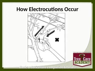 Slide 126: How Electrocutions Occur