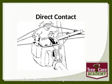 Slide 127: Direct Contact