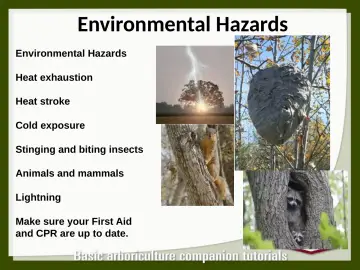Slide 129: Environmental Hazards