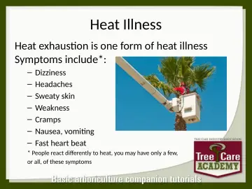 Slide 130: Heat Illness