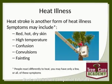Slide 131: Heat Illness